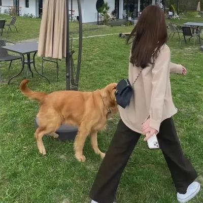 势不可挡
