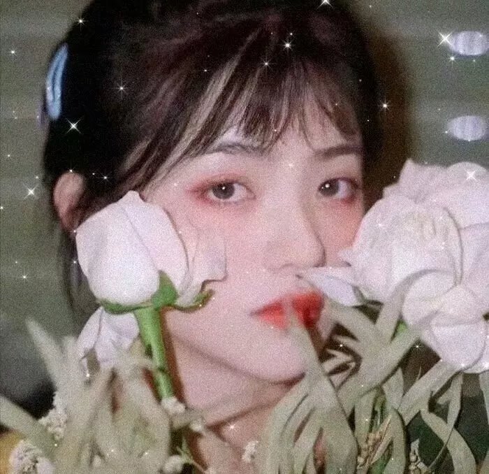 杨之后